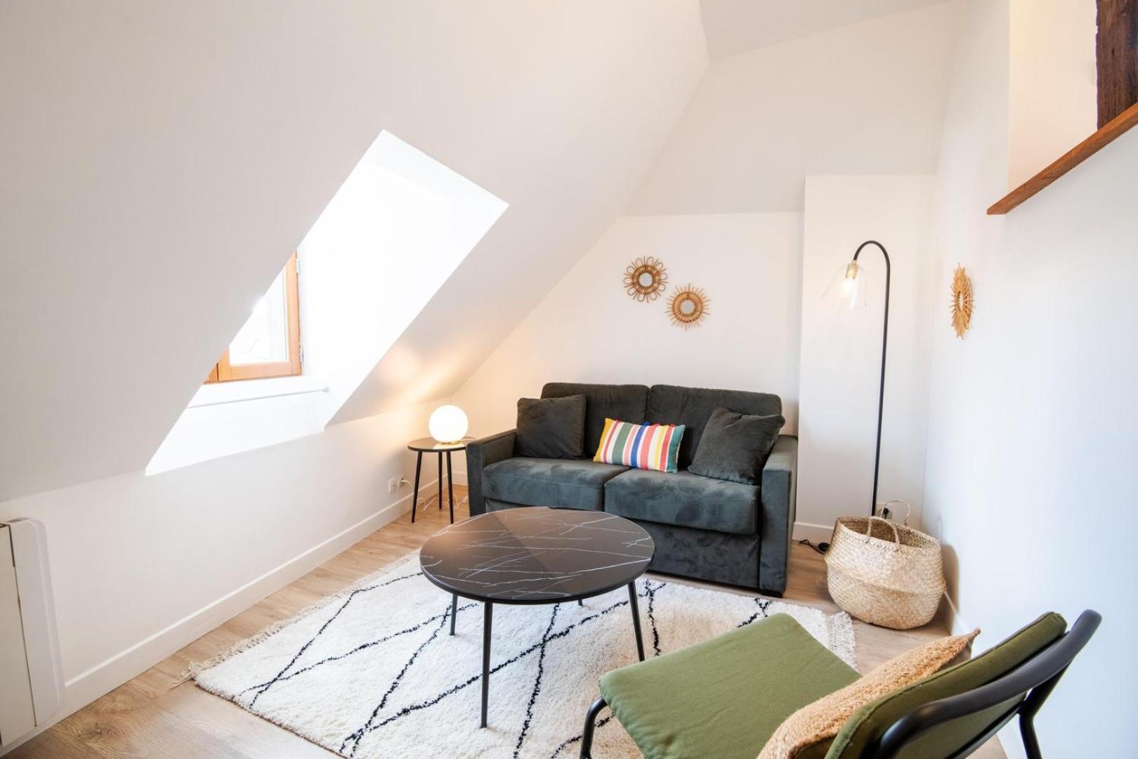 Les Mansardes Amboisiennes Apartment Amboise Luaran gambar